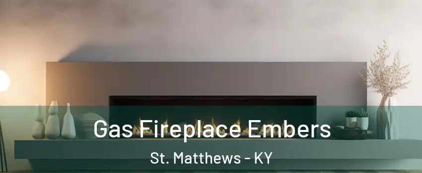  Gas Fireplace Embers St. Matthews - KY