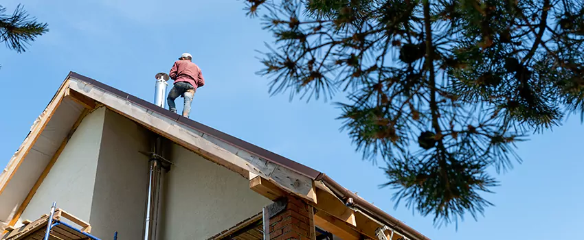 Birds Removal Contractors from Chimney in St. Matthews, KY